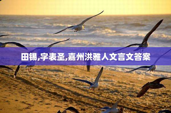 田锡,字表圣,嘉州洪雅人文言文答案