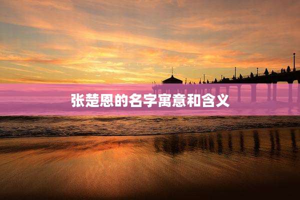 张楚恩的名字寓意和含义