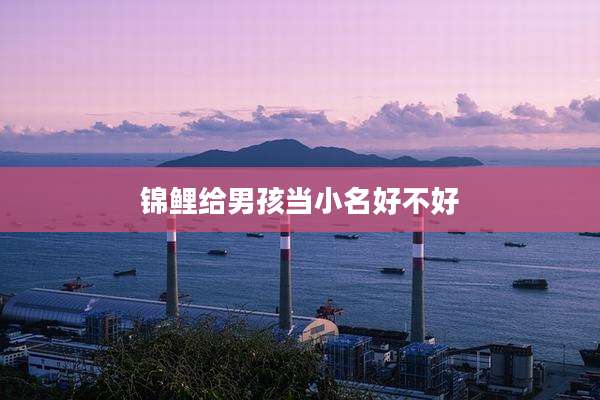 锦鲤给男孩当小名好不好