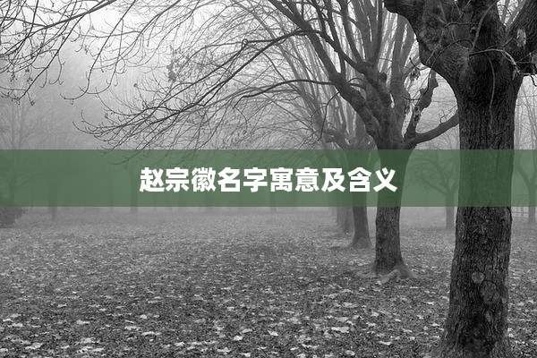 赵宗徽名字寓意及含义
