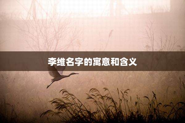 李维名字的寓意和含义