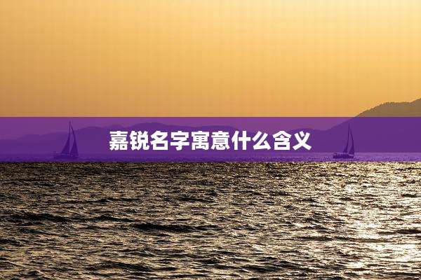 嘉锐名字寓意什么含义