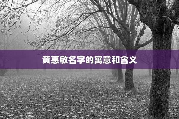 黄惠敏名字的寓意和含义