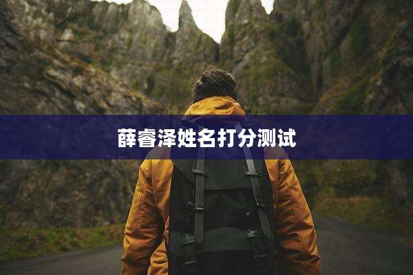 薛睿泽姓名打分测试