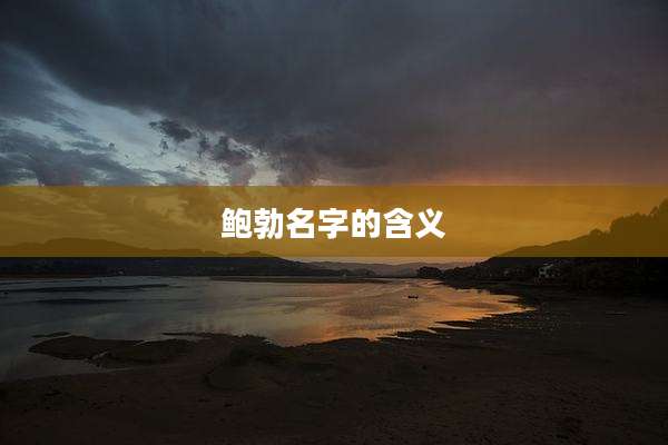 鲍勃名字的含义