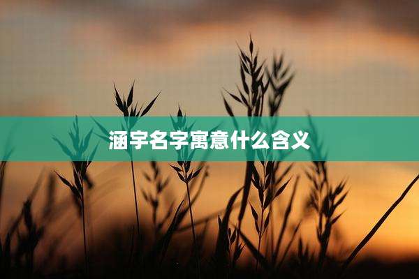 涵宇名字寓意什么含义