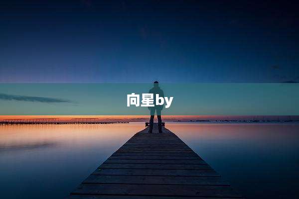向星by