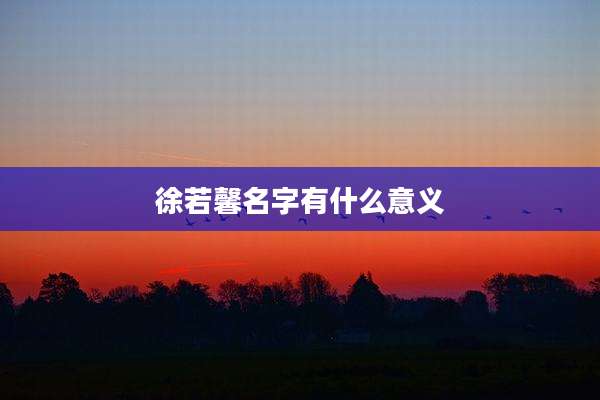 徐若馨名字有什么意义