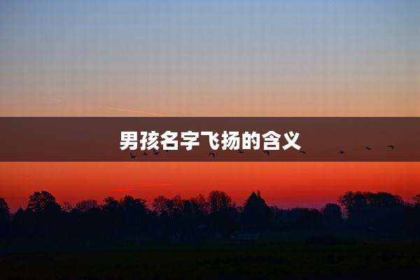 男孩名字飞扬的含义