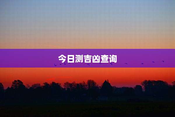 今日测吉凶查询
