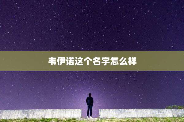 韦伊诺这个名字怎么样