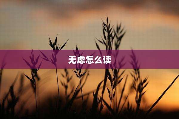 无虑怎么读