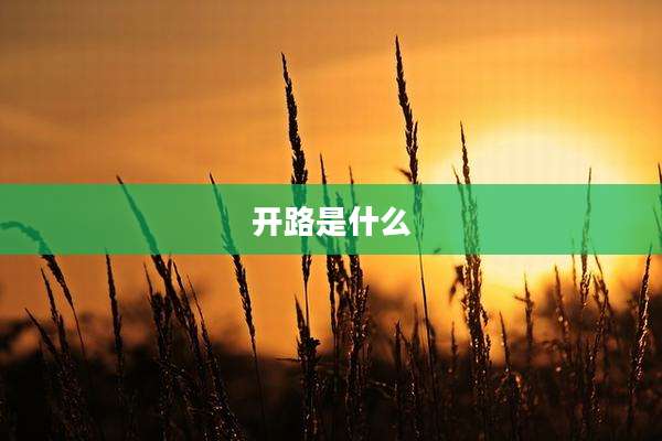 开路是什么