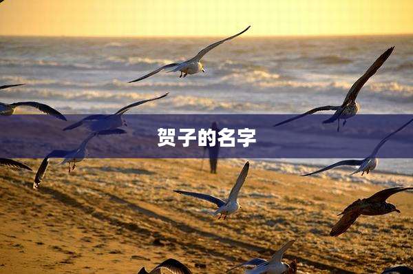 贺子的名字