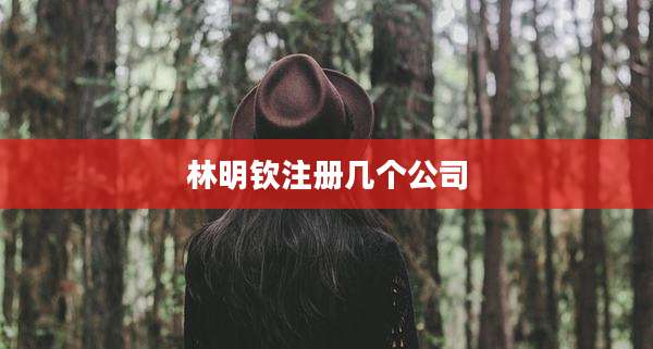 林明钦注册几个公司