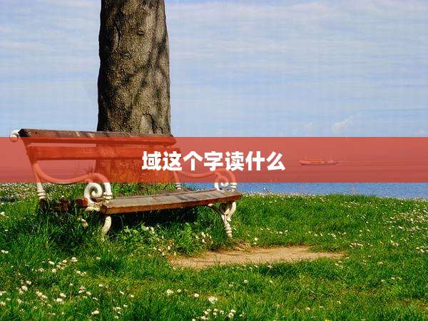 域这个字读什么