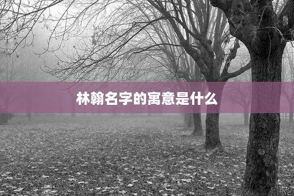林翰名字的寓意是什么