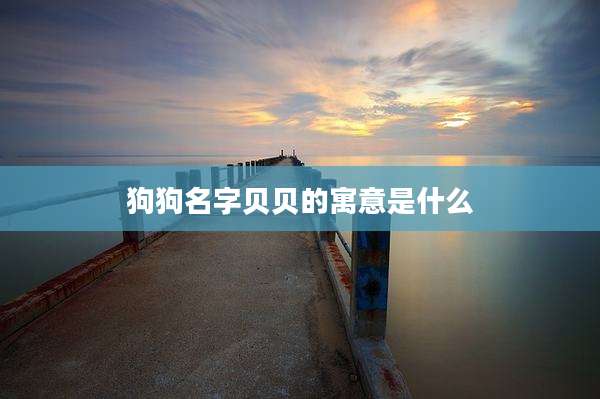 狗狗名字贝贝的寓意是什么