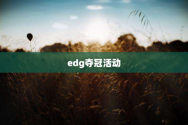 edg夺冠活动
