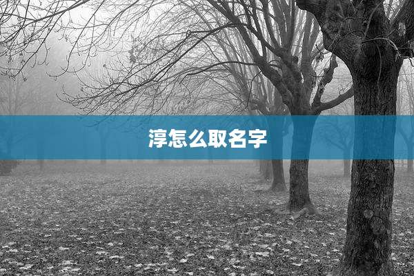 淳怎么取名字