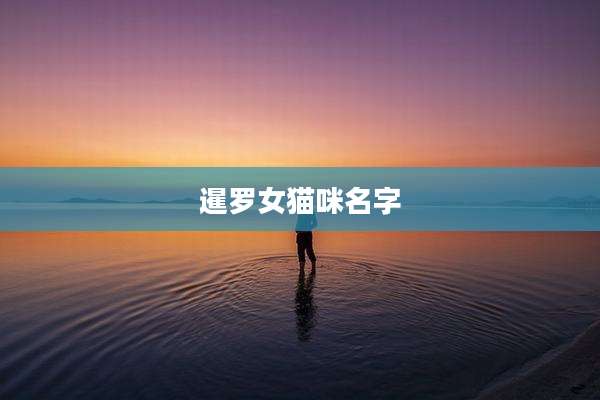 暹罗女猫咪名字