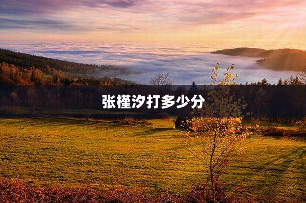 张槿汐打多少分