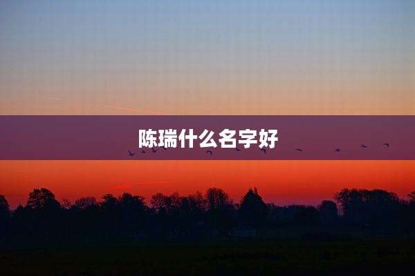 陈瑞什么名字好