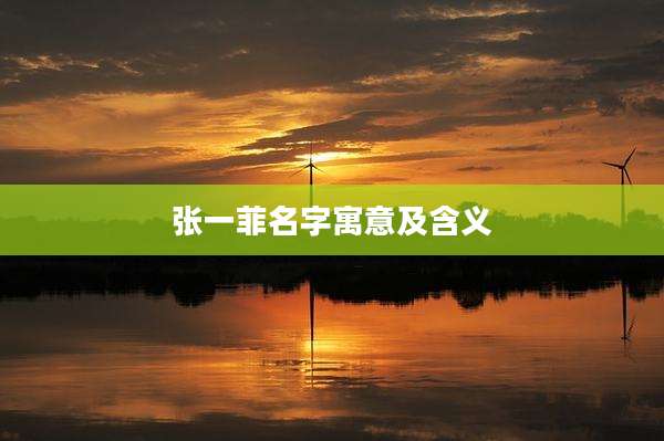 张一菲名字寓意及含义