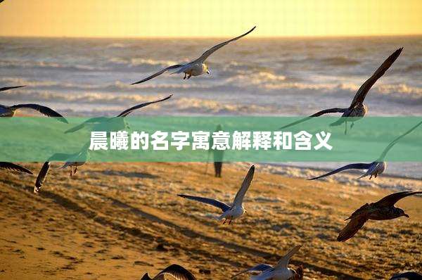 晨曦的名字寓意解释和含义