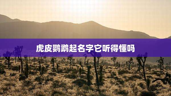 虎皮鹦鹉起名字它听得懂吗