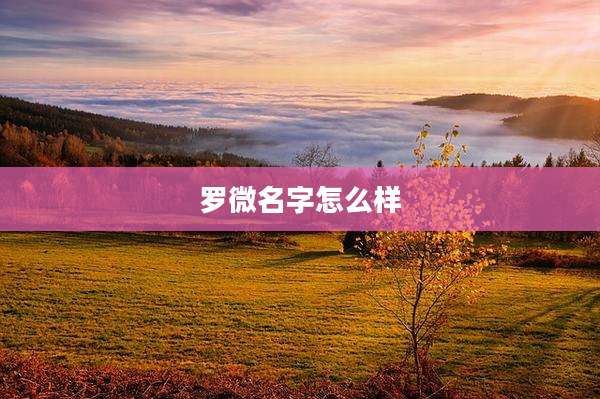 罗微名字怎么样