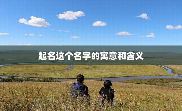 起名这个名字的寓意和含义
