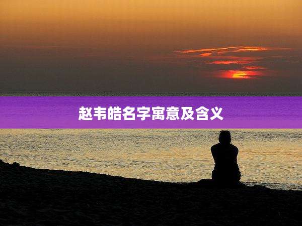 赵韦皓名字寓意及含义