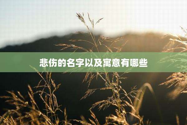 悲伤的名字以及寓意有哪些