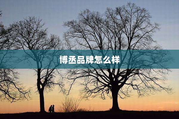 博丞品牌怎么样