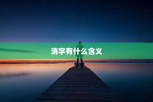 消字有什么含义