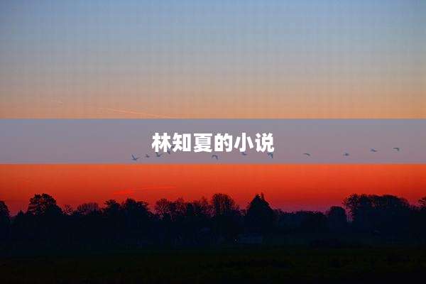 林知夏的小说