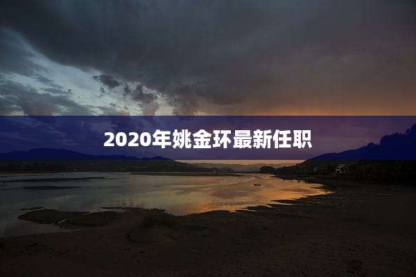 2020年姚金环最新任职