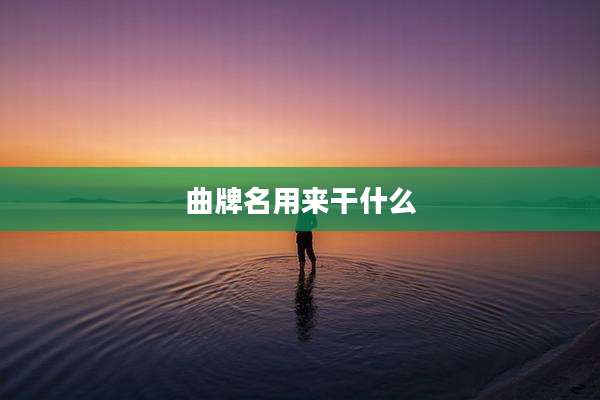 曲牌名用来干什么