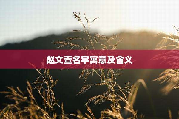 赵文萱名字寓意及含义