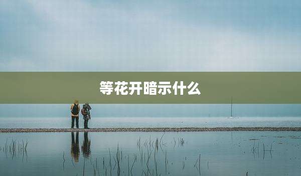 等花开暗示什么