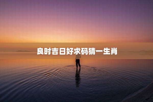 良时吉日好求码猜一生肖