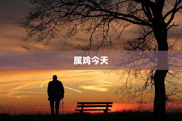 属鸡今天