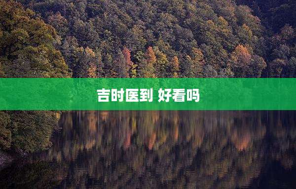 吉时医到 好看吗