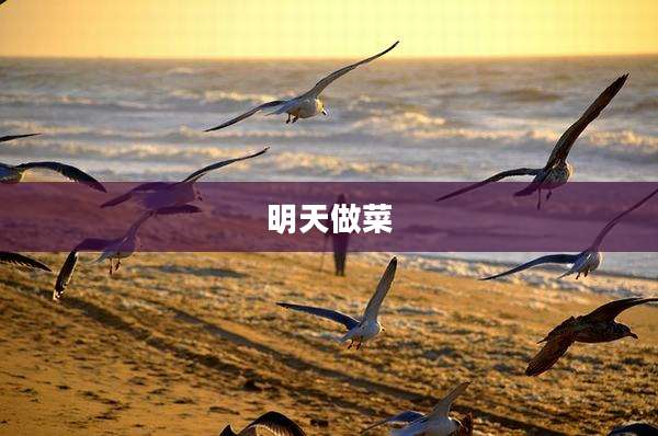 明天做菜
