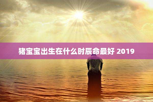 猪宝宝出生在什么时辰命最好 2019