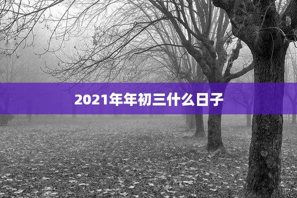 2021年年初三什么日子