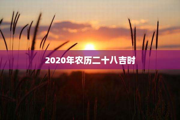 2020年农历二十八吉时