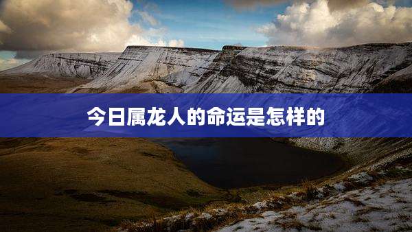 今日属龙人的命运是怎样的