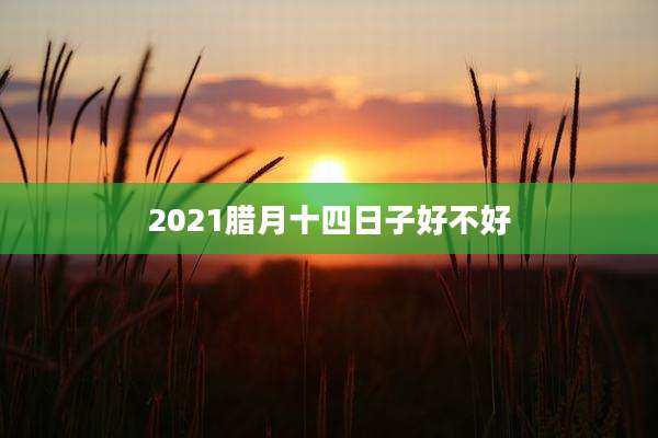 2021腊月十四日子好不好